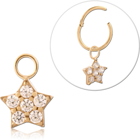 GOLD PVD 18K COATED SURGICAL STEEL JEWELED CHARM