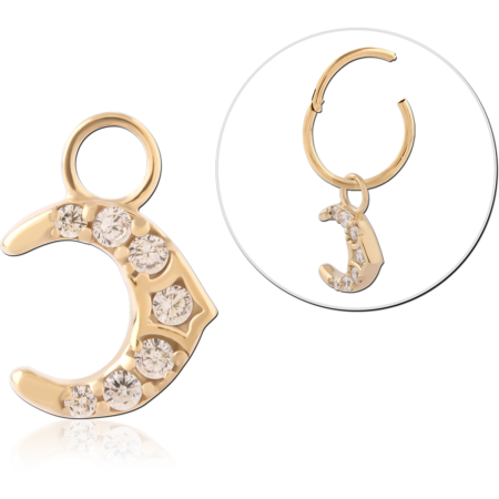 GOLD PVD 18K COATED SURGICAL STEEL JEWELED CHARM