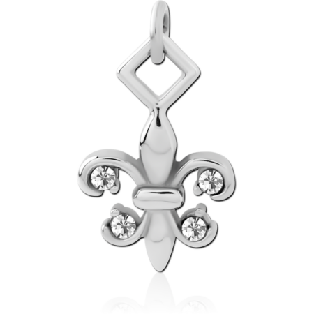 SURGICAL STEEL CHARM