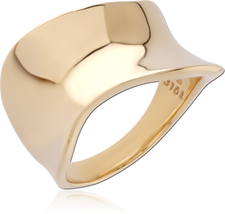 GOLD PVD 18K COATED SURGICAL STEEL RING