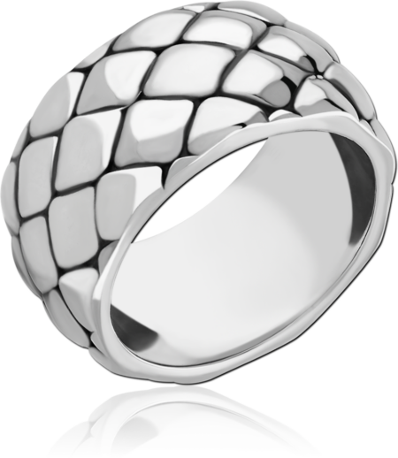 SURGICAL STEEL RING
