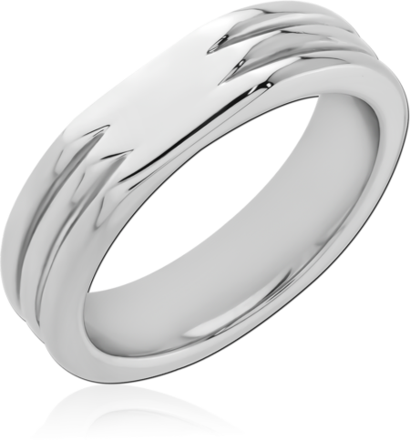 SURGICAL STEEL RING