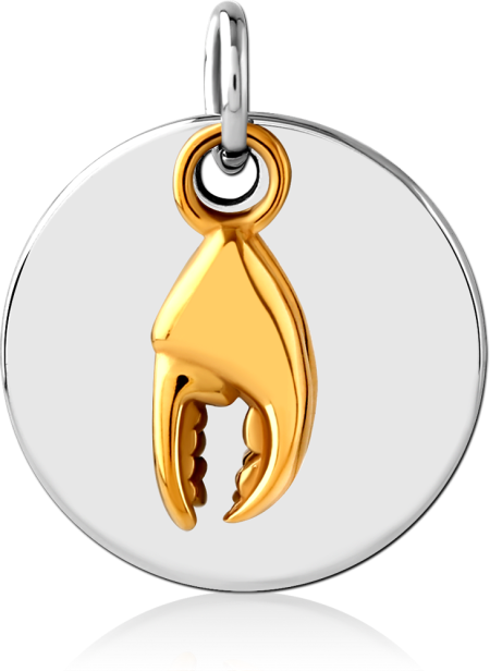 316L SURGICAL STEEL CHARM POLISHED ROUND DISC WITH CRAB CLAW ACCENT