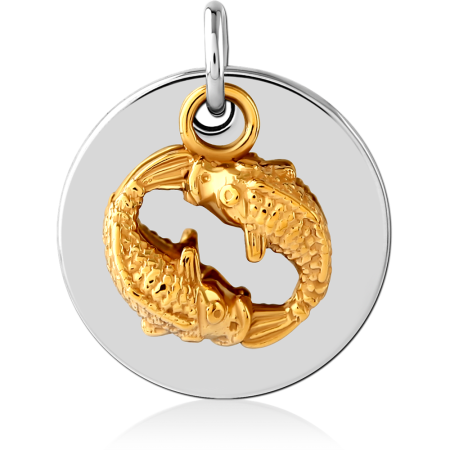 316L SURGICAL STEEL CHARM POLISHED ROUND DISC WITH KOI FISH PAIR