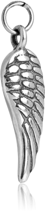 316L SURGICAL STEEL CHARM WING FEATHER DETAIL