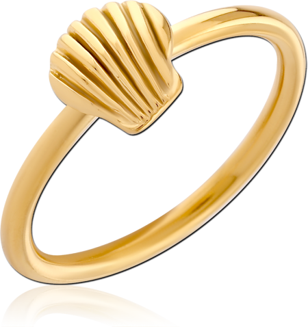 GOLD PVD COATED SURGICAL STEEL RING RIDGED SEASHELL TOP POLISHED BAND