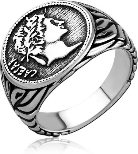 316L SURGICAL STEEL RING